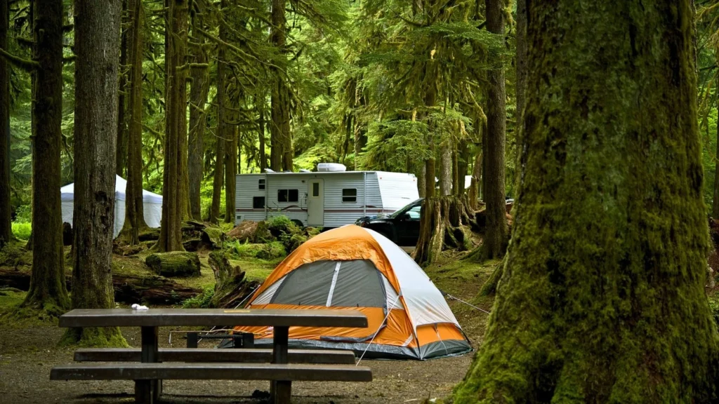 Photo of a tent set up at a campsite with an RV in the background, showing a mixed-use camping area.